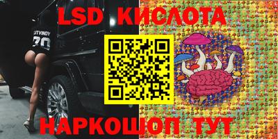 мдпв Кунгур