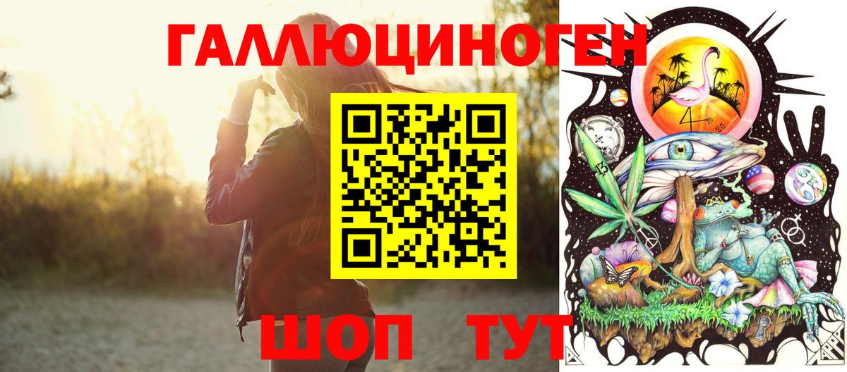 Галлюциногенные грибы Psilocybe Дедовск