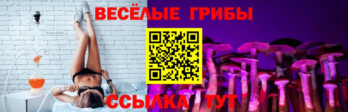 Дедовск  Галлюциногенные грибы ЛСД  Вход с VPN 